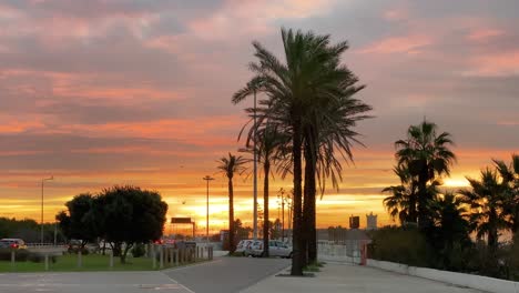 Schöner-Morgendlicher-Sonnenaufgang-Hinter-Einigen-Palmen-In-Der-Nähe-Einer-Randstraße-Im-Atlantik-Bei-Carcavelos,-Portugal-Küste