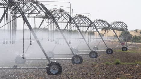 Row-Of-Center-Pivot-Irrigation-Sprinkler-Systems-Watering-Farm-Field-Crops-In-Punjab