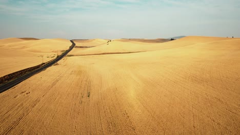 Aerial-view-drone-shot-of-a-golden-and-ready-to-harvest-wheat-field-with-road