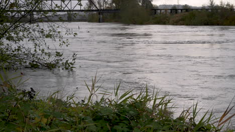 Close-up-of-swift-flowing-water-of-Snohomish-River-near-flood-stage,-Washington