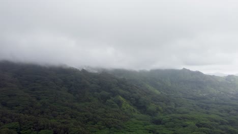 Vistas-Cinematográficas-Del-Paisaje-De-Hawaii-Durante-El-Día-Nublado