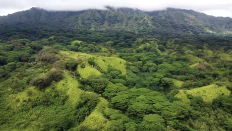 Vistas-Cinematográficas-Del-Paisaje-De-La-Isla-De-Hawaii-Durante-El-Día-Nublado