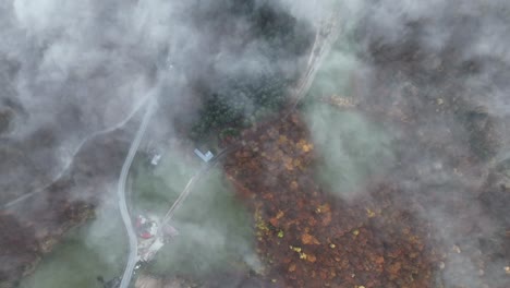 Flying-above-the-foggy-forest