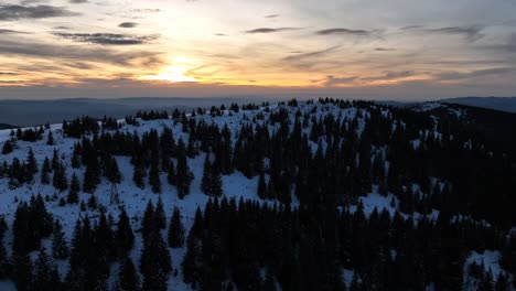 Fliegen-In-Geringer-Höhe-über-Einem-Wunderschönen-Wald-In-Der-Sonnenuntergangszeit