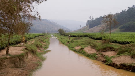 Tea-plantation-in-rural-area,-Rwanda,-Africa
