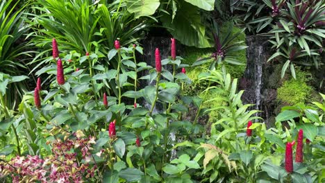 Schöne-Orchideen-Und-üppiges-Grün-Mit-Gestielten-Blättern-Vor-Dem-Brunnenhintergrund