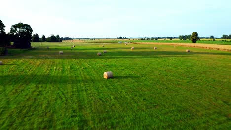 Fly-Away-At-Countryside-Field-With-Hay-Bale-Rolls-During-Summer-In-Lithuania