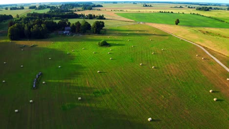 Aerial-View-Of-Hay-Bales-On-Meadow-In-Summertime