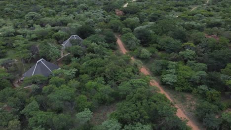 Aerial-drone-shot-ascending-above-the-treetops-in-the-African-bushveld-to-reveal-the-location-of-3-luxury-Safari-chalets-nestled-in-between-the-trees,-South-Africa
