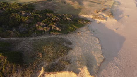Aerial-view-of-dog-walking-on-an-isolated-beach-during-sunset