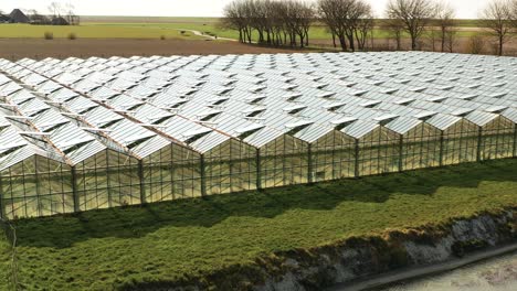 Greenhouses-with-dutch-landscape-in-background