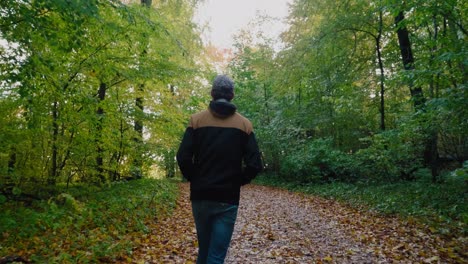 Tall-Guy-With-Cap-Walks-In-The-Gyllebo-Forest-in-Autumn,-Österlen-Sweden---Medium-Wide-Shot-Tracking-From-Behind