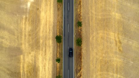 top-down-drone-shot-of-a-black-car-driving-a-straight-country-road-between-two-fields