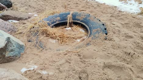 Dumped-non-recycled-automobile-tyre-on-clean-beach