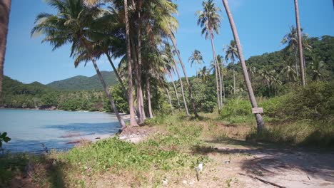 Palmen-Und-Strand-Der-Tropischen-Insel