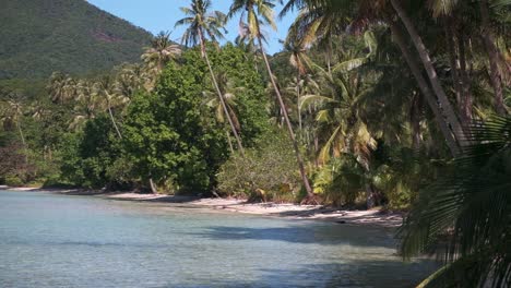 4K-pan-footage-of-Tropical-island-palm-trees-and-beach-with-lush-mountains-behind