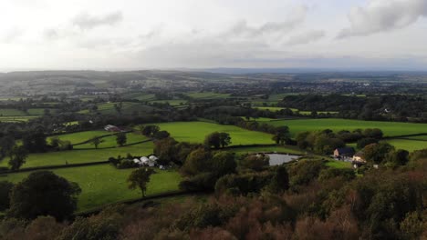 Aerial-low-flying-forward-shot-over-trees-with-the-view-of-the-River-Otter-valley-in-East-Devon-England