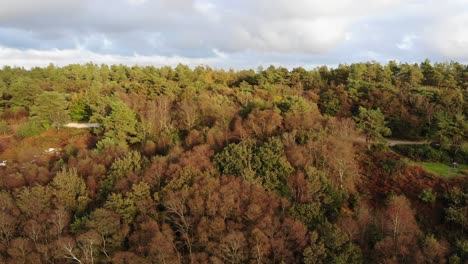 Aerial-rising-shot-over-trees-in-East-Devon-England-UK