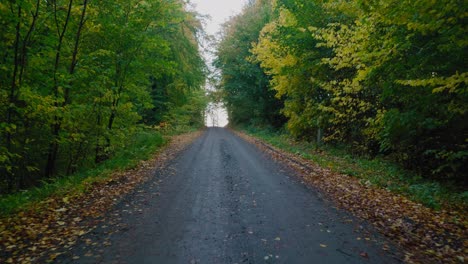 POV-Walking-On-a-Narrow-Road-in-Gyllebo-Forest-in-Autumn,-Österlen-Sweden---Wide-Shot-Tracking-Forward