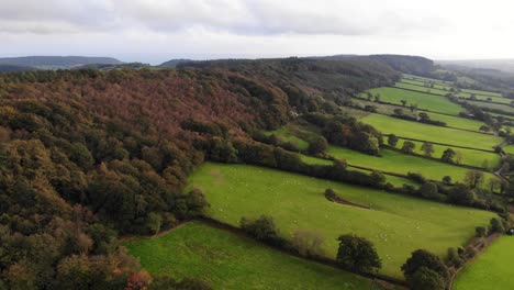 Aerial-forward-shot-of-fields-leading-up-to-the-ridge-of-trees-at-East-Hill-East-Devon-England-UK