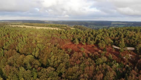 Aerial-panning-left-shot-of-a-sunset-on-trees-at-East-Hill-Devon-England