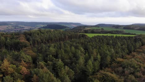 Aerial-parallax-shot-of-trees-on-top-of-East-Hill-with-a-view-towards-Sidmouth-Devon-England