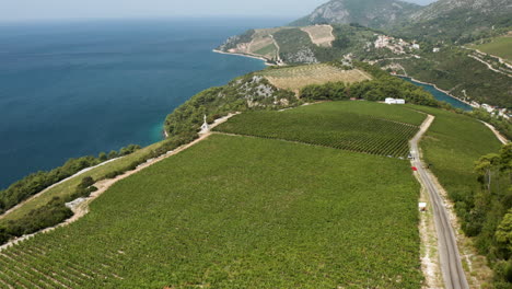 Aerial-View-Of-Komarna-Winery-And-Vineyards-At-Summer-In-Dalmatia,-Croatia