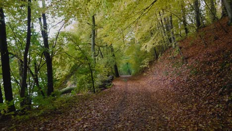 Pov-Wandern-Auf-Einem-Hübschen-Herbstpfad-Am-Gyllebo-See-Mit-Vielen-Orangenblättern,-Skåne,-Schweden---Weitschuss,-Der-Nach-Vorne-Fährt
