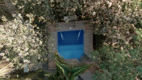 Small-pool-in-tropical-garden.-top-down-rising