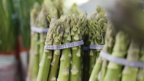 Close-up-of-fresh-bundles-of-asparagus-on-display-at-the-grocery-store