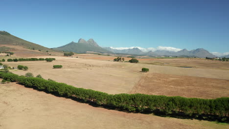 Lush-Bushes-On-Flatland-Of-Simonsberg-Nature-Reserve-In-Stellenbosch-At-Wine-Region-In-Western-Cape-Province,-South-Africa