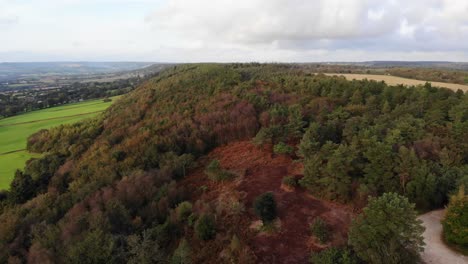 Aerial-panning-left-shot-of-the-trees-at-East-Hill-Devon-England-in-Autumn