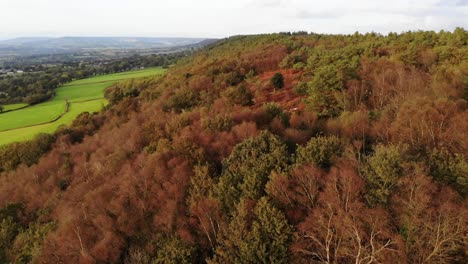 Luftaufnahme-Von-Bäumen,-Beleuchtet-Von-Einem-Goldenen-Sonnenuntergang-In-Devon,-England