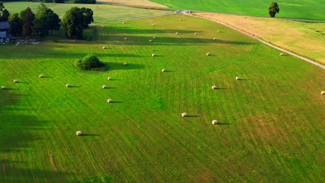 Multiple-Scattered-Hay-Barrels-in-a-Huge-Open-Green-Field-in-the-Middle-of-Summer-in-Lithuania---Reverse-Aerial-Shot