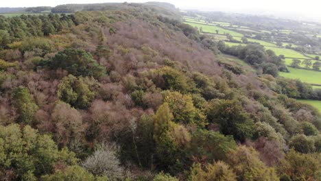 Aerial-backwards-shot-of-woodland-at-East-Hill-Devon-England