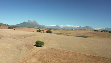 Scenery-Of-Plains-On-Simonsberg-Nature-Reserve-Near-Wine-Estate-In-Stellenbosch,-South-Africa