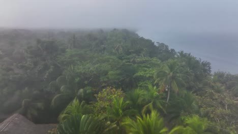 Aerial-View-of-Dense-Fog-and-Humid-Weather-on-Tropical-Island-Coast,-Palm-Trees,-Vacation-Homes-and-Beach,-Drone-Shot