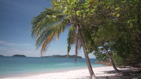 tilt-down-footage-of-white-sand-beach-with-turquoise-waters,-palms-and-islands-in-the-distance