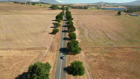 Pavement-Road-At-Simonsberg-Nature-Reserve-In-Wine-Estate-Of-Stellenbosch-In-Western-Cape-Province,-South-Africa