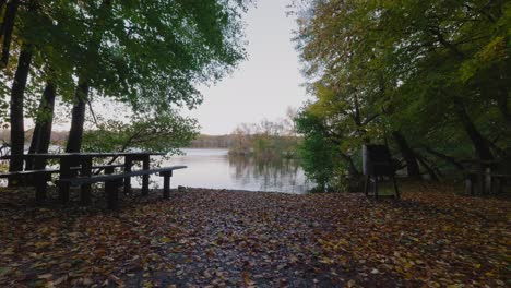 Empty-Wooden-Benches-and-Grill-by-Gyllebo-Lake-in-Autumn,-Österlen-Sweden---Static-Wide-Shot