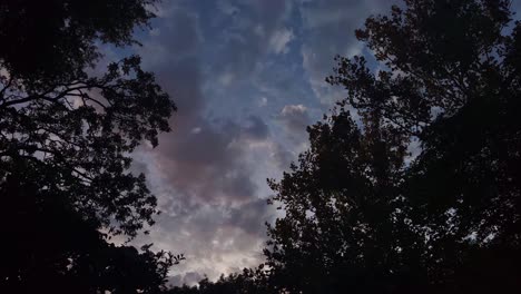 Nubes-Rosas-Y-Azules-De-La-Tarde-A-La-Noche-A-Través-De-La-Apertura-En-Los-árboles-Pov-De-Lapso-De-Tiempo