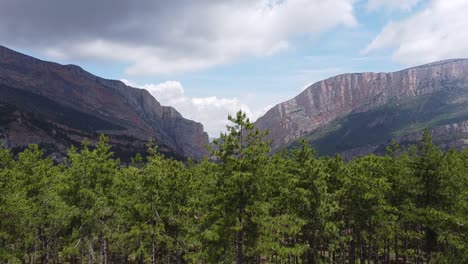 Congost-De-Mont-Rebei-Canyon-Bei-Ager,-Katalonien-Und-Aragon,-Spanien---Luftdrohnenansicht-Der-Bäume-Und-Der-Mysteriösen-Dunklen-Schlucht