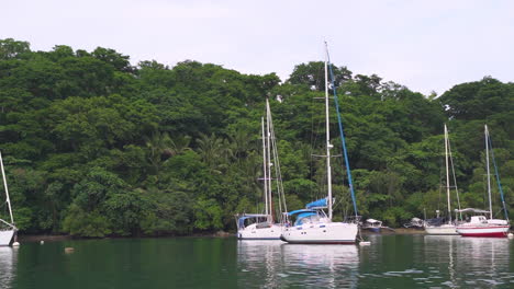 Wide-Shot-OF-Parked-Private-Yachts-In-A-Private-Island