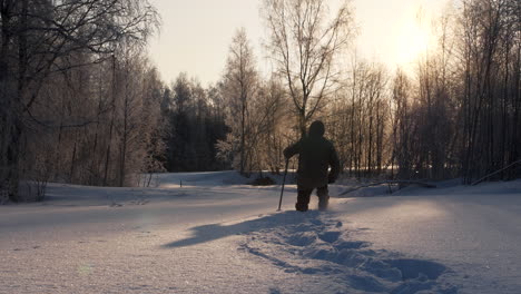 Man-walks-through-deep-snow-in-forest-during-golden-hour
