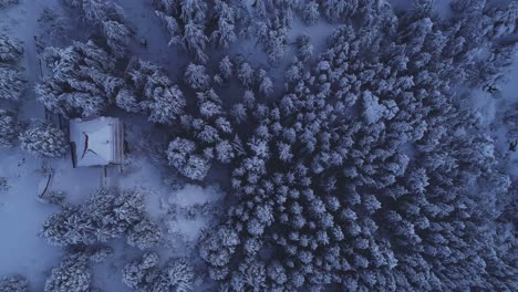 Vertical-aerial-view-of-a-house-in-the-middle-of-a-snow-covered-pine-forest-at-dusk