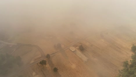 Aerial-top-down-and-forward-view-through-a-blanket-of-fog-over-a-field