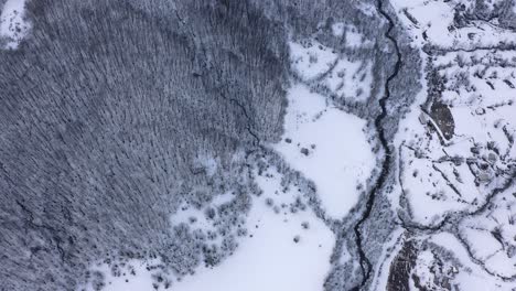 AERIAL---Snowy-winter-on-a-forest,-Kolasin,-Montenegro,-top-down-forward-shot