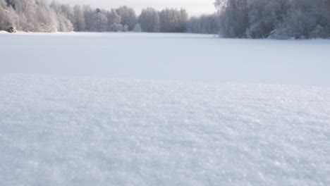 Schneefall-Auf-Der-Winterwaldszene,-Zeitlupe-Nach-Oben-Kippen