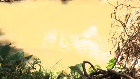 Bauschutt-An-Zerstörtem-Flussufer-Mit-Nicht-Biologisch-Abbaubarem-Müll-Und-Durch-Überschwemmung-Und-Überschwemmung-Beeinträchtigtem-Grün