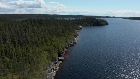 Drone-flying-over-the-shore-between-lake-and-forest-on-a-sunny-day
